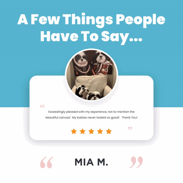 Best Reviews of the Week