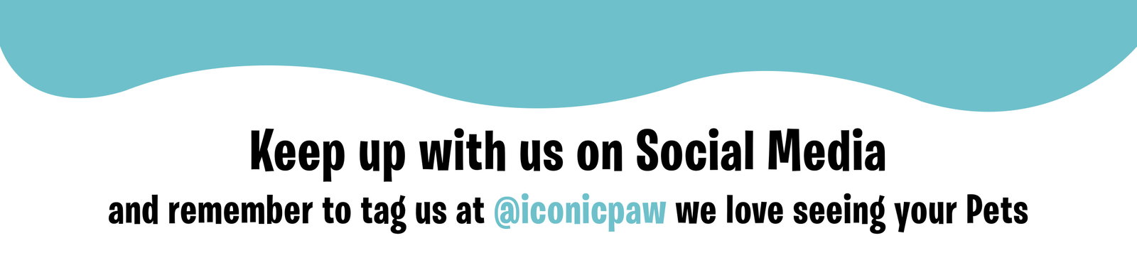 Keep up with us on social media: https://linktr.ee/iconicpaw