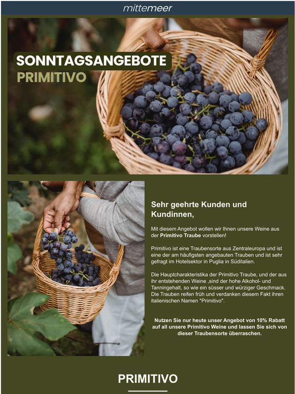 Sonderangebot nur heute! 🛒