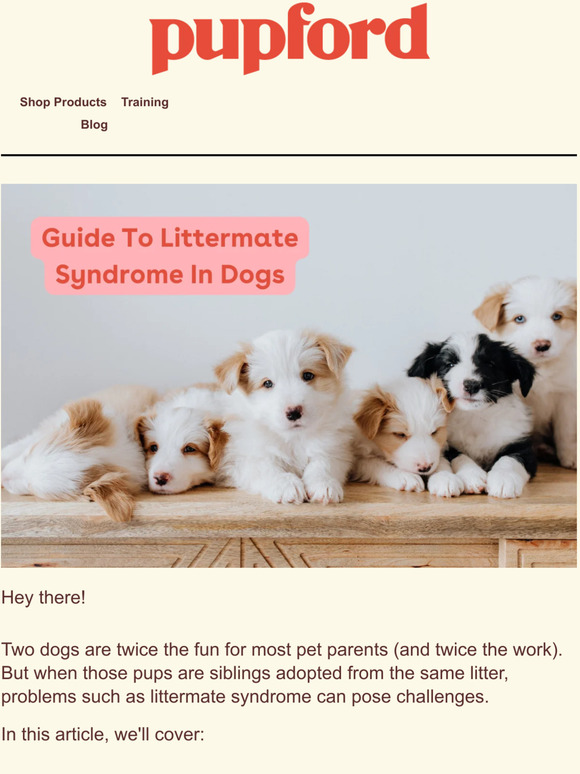 Pupford LLC [article] Littermate Syndrome in Dogs Milled