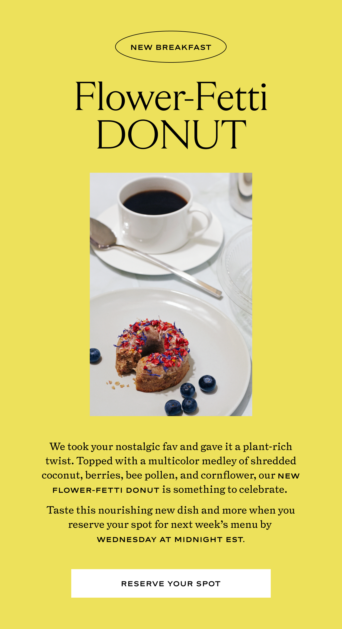 New Flower-Fetti Donut