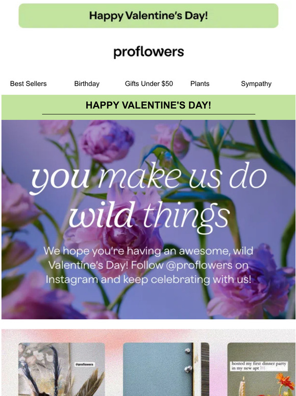 ProFlowers ️ happy valentine's day ️ Milled