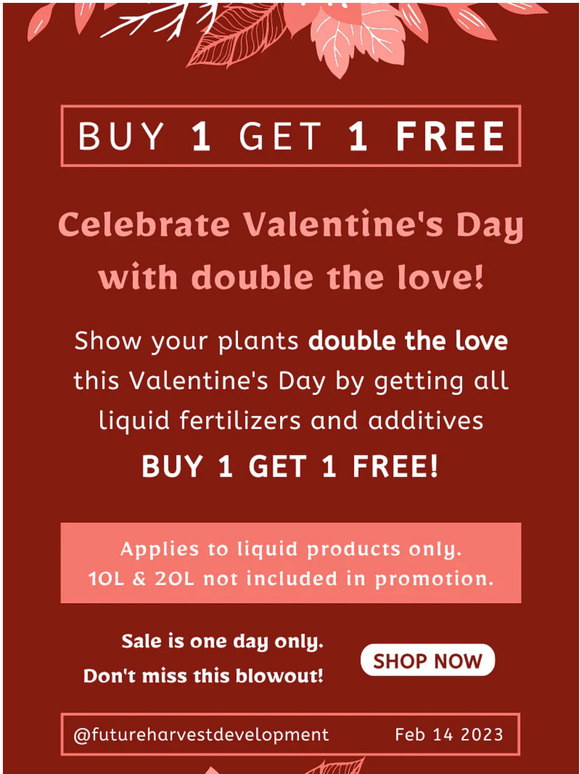 Buy 1 Get FREE this Valentine!