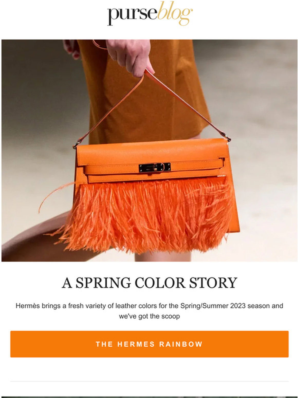 The Rainbow of Louis Vuitton Epi Leather Colors - PurseBlog