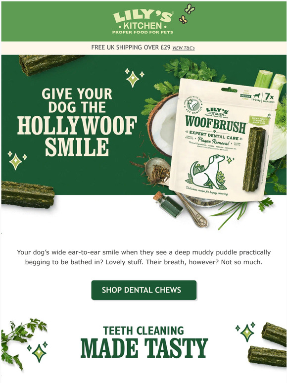 Say Goodbye to Stinky Dog Breath 🐶