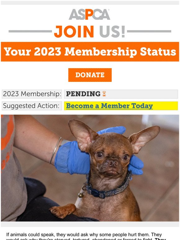 Your 2023 Membership Details