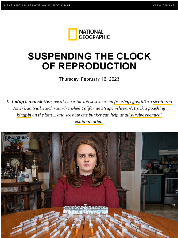 National Geographic Should a woman freeze her eggs? Milled