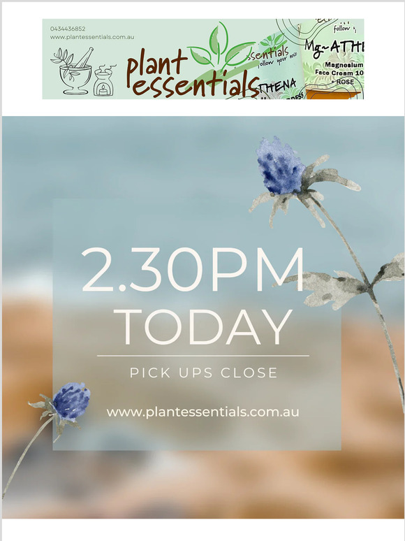Plant Essentials New -  click and collects close at 2.30pm today for this weekend + new Spirit Quartz