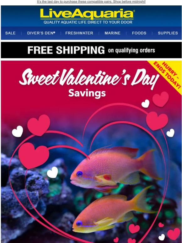 These Valentine’s Day couples are breaking up today