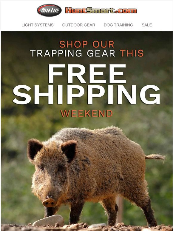 💥 Free Shipping is on!