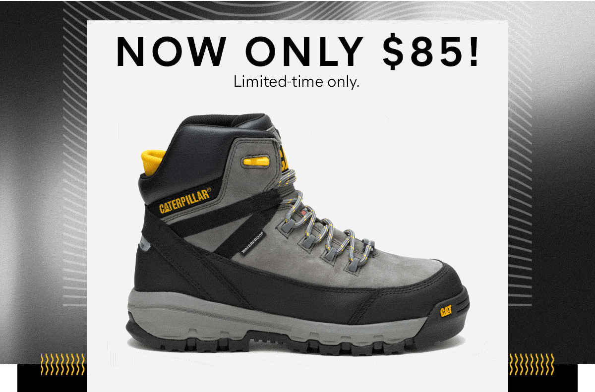CAT - NOW ONLY $85! Limited-time only.