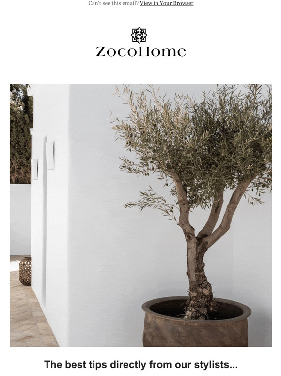 Zoco Home 5 Essential Decor Items You Need To Invest In 💸 Milled