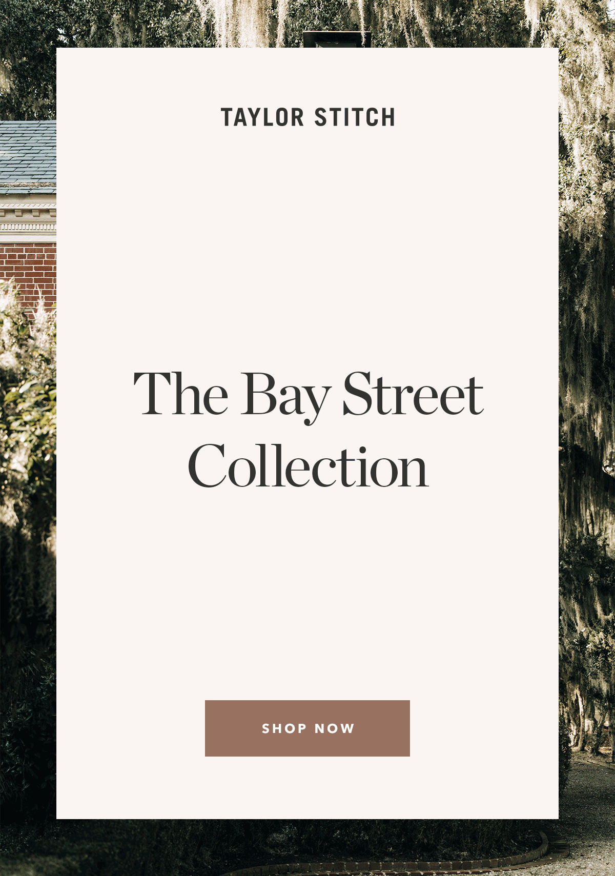 Taylor Stitch The Bay Street Collection Milled
