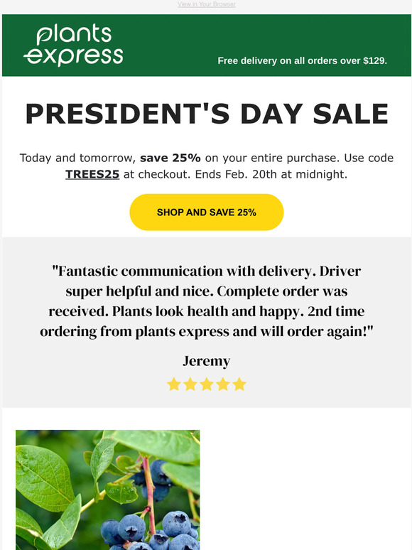 🌳 President's Day Sale - 25% Off