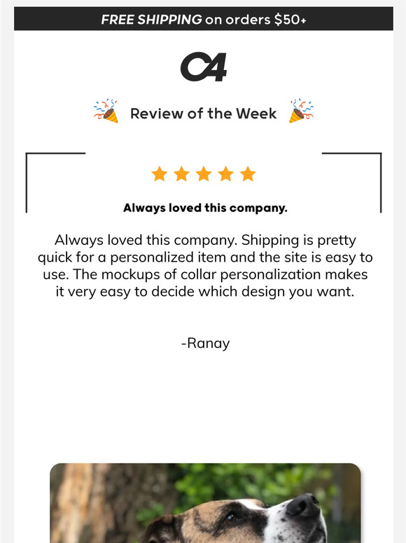 C4 - Review of the WEEK!