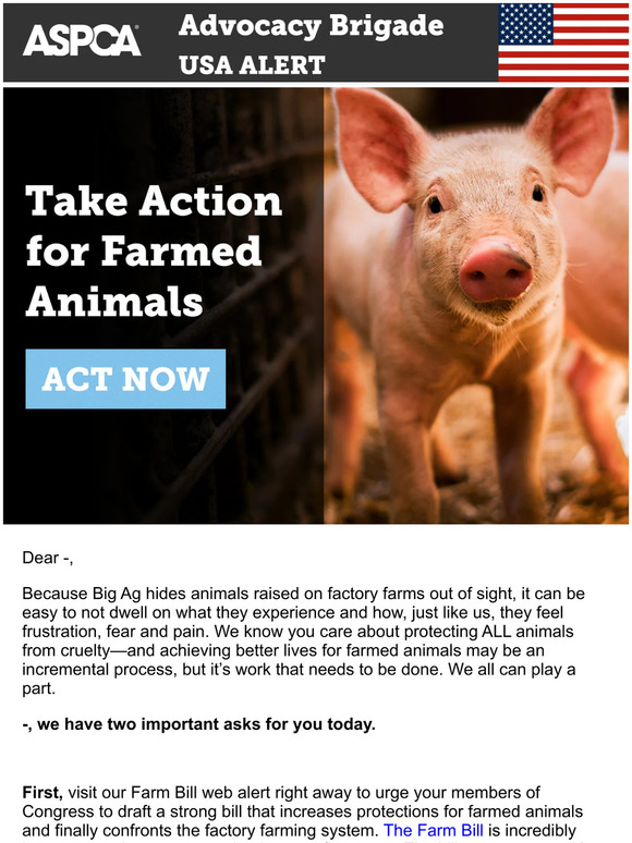 Please Speak Up for Farmed Animals TODAY