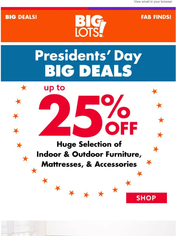 Big Lots Presidents’ Day Deals Salute to savings! Milled