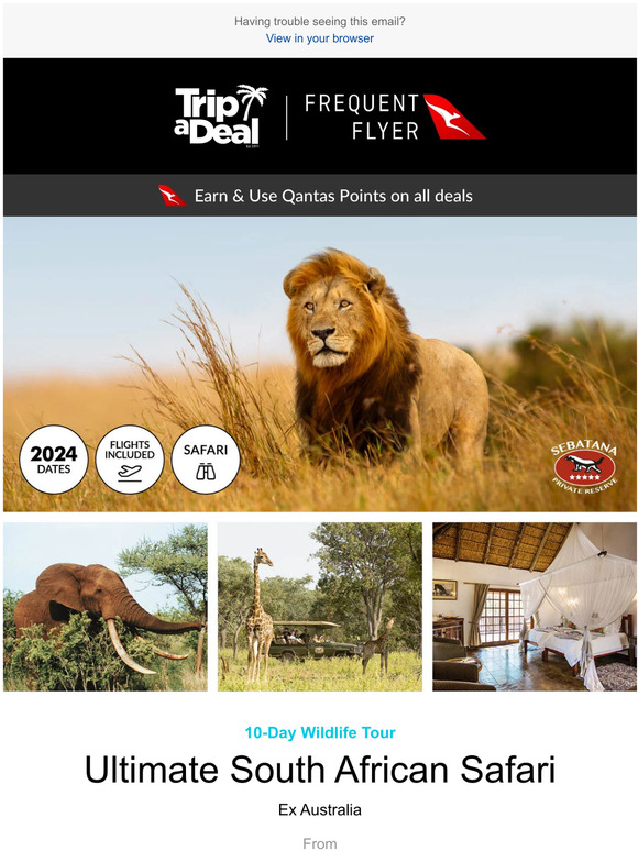 TripADeal : Embark on an African safari adventure! An unforgettable bucket list experience 