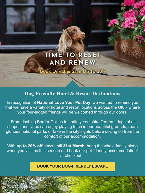 Macdonald Hotels Discover our DogFriendly Destinations Milled