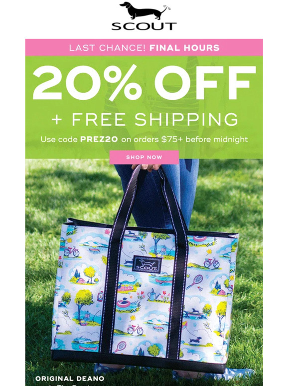 Final hours: 20% OFF + Free Shipping 🚨
