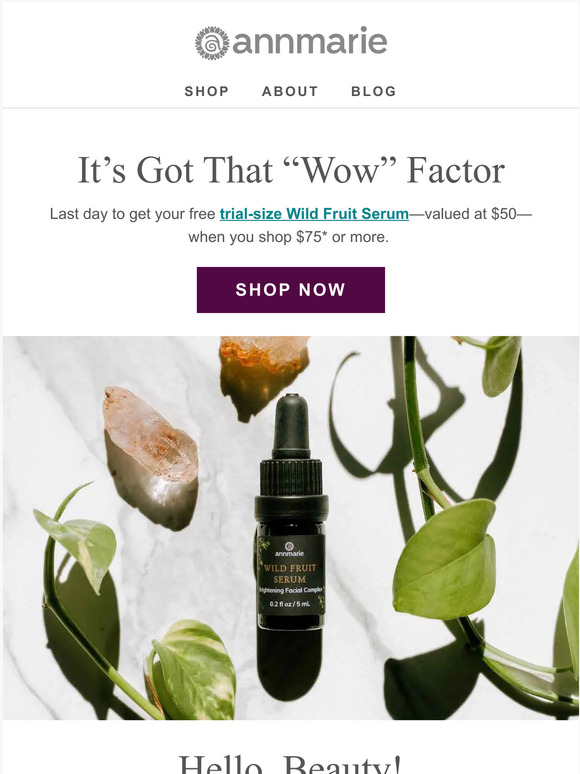 Ending tonight: A luxurious freebie—perfect for your travels