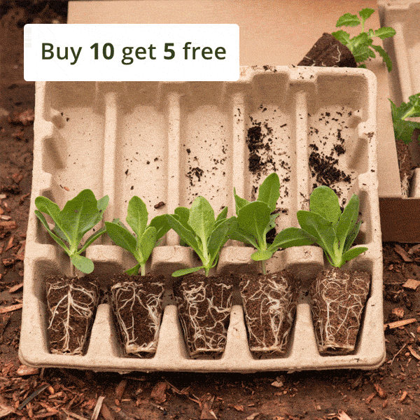 Discover how to fill your pots for less Milled