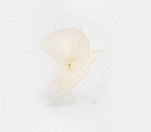 Lace Trim Detail Fascinator