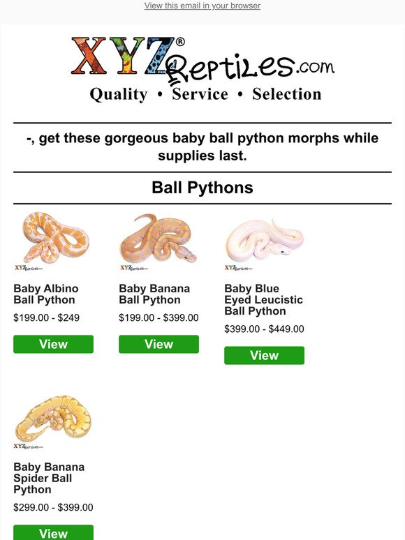 🐍Highly Sought After Ball Python Morphs Back In Stock