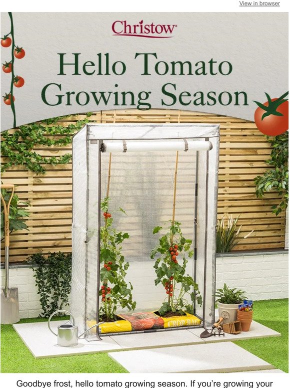 Love tomatoes? Get growing!