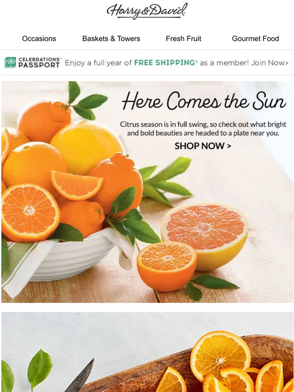 Cushman's 🍊 Explore our collection of sunkissed citrus. Milled