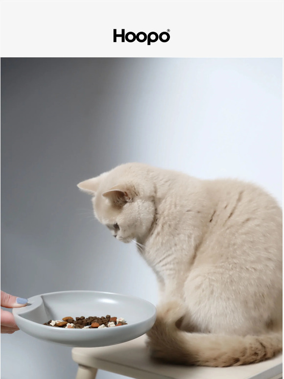 🌟 NEW! Meet the Plate Cat food bowl!