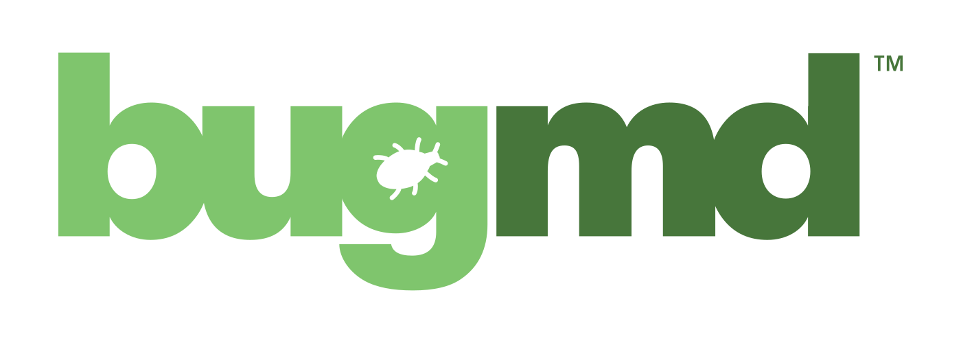 BUGMD Termination Station - Flea Trap, Roach Trap, Sticky Trap for Ants,  Cockroaches, Ticks, Fleas