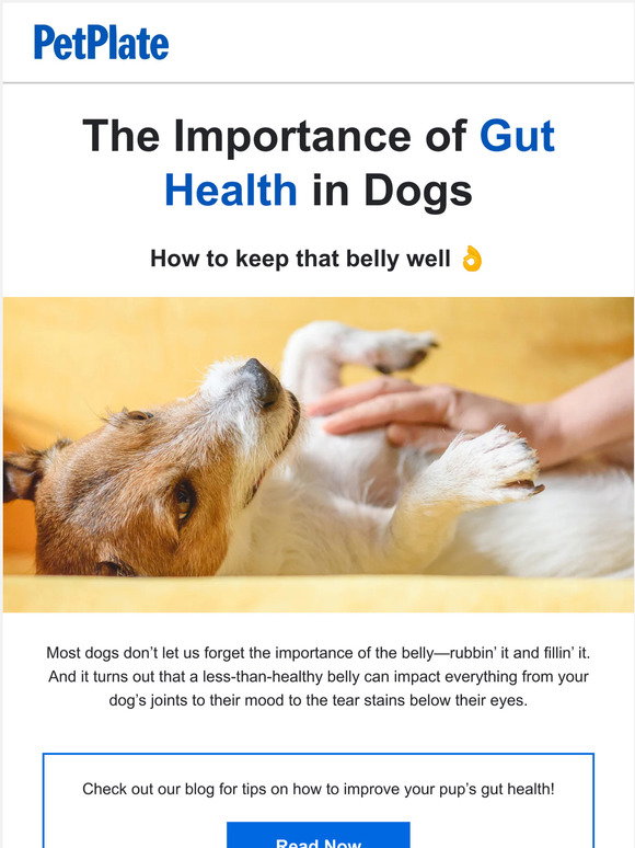 PetPlate 🤔 Can your dog’s gut health affect behavior? Milled