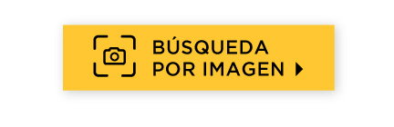 Búsqueda por imagen