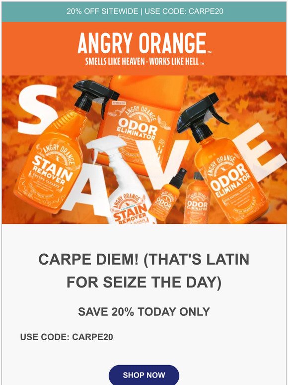 Carpe Diem! Seize the day with 20% off