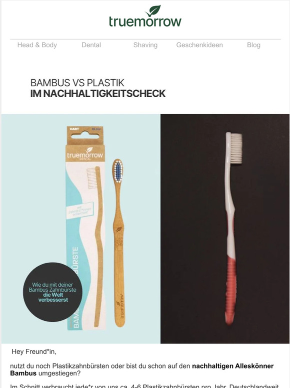 Der truemorrow Materialcheck: Bambus