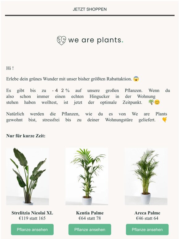 Großer Rabatt auf Große Pflanzen 🌿🌴🤩