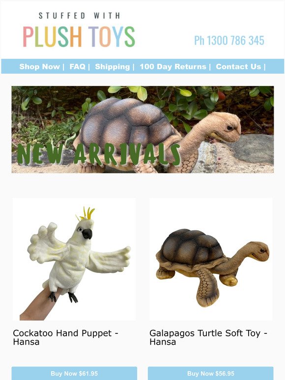 New Arrivals - How lifelike is the new turtle?