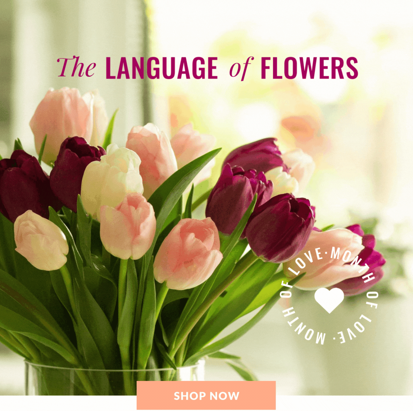 Get to Know the Meaning Behind Popular Flowers Milled