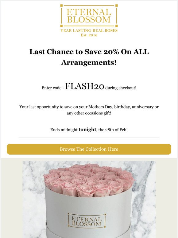 Last Chance To Save 20% - Flash Sale Ends Midnight