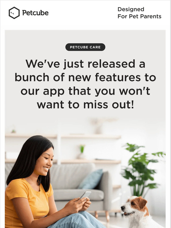 Petcube interactive pet cameras New Exciting Features to Your Petcube
