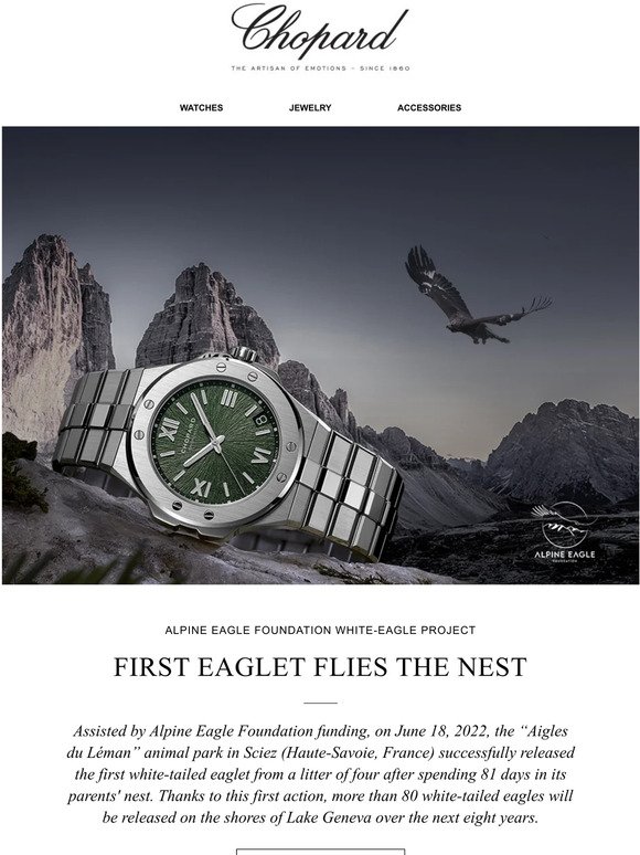 Alpine Eagle Foundation White-Tailed Eagle Project