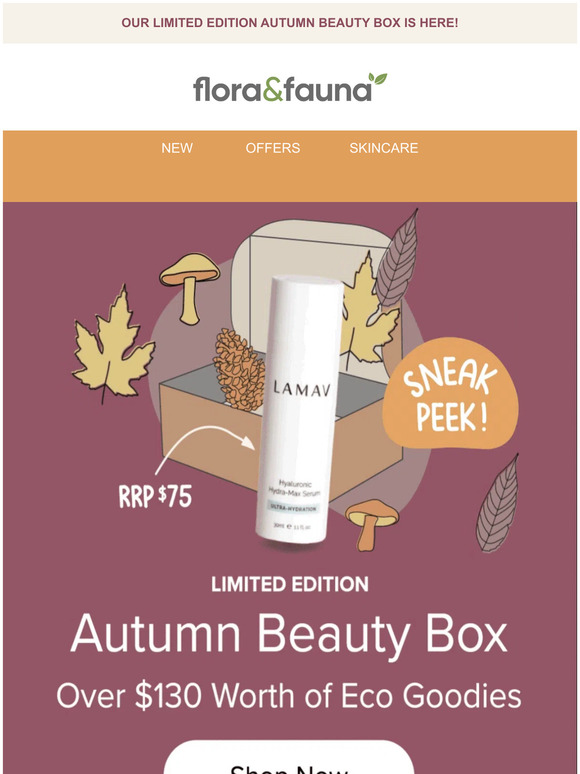 🍁 Our AUTUMN BEAUTY BOX Is Here! 🍁