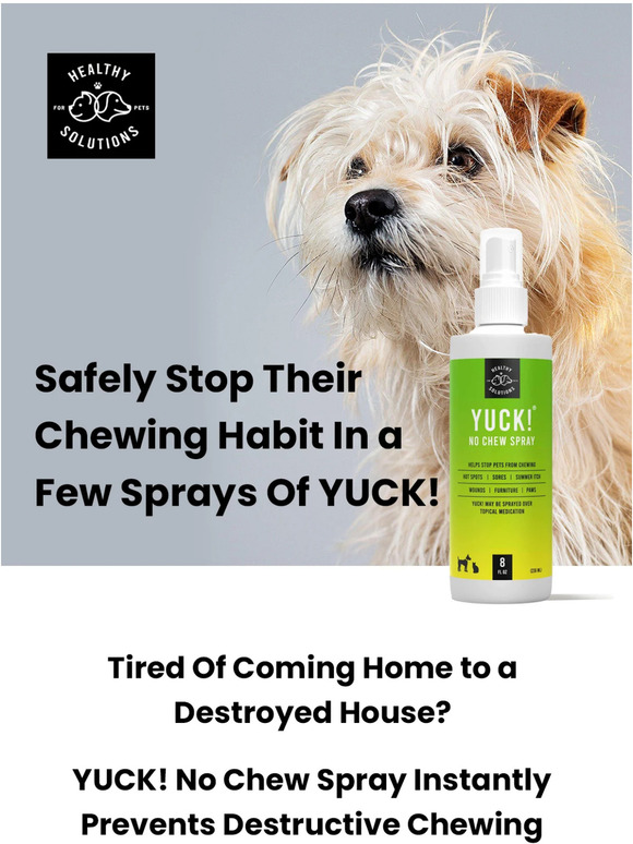 Open if your dog chews things they shouldn’t 👉