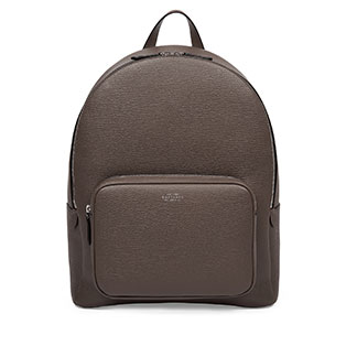 Everyday Backpack in Ludlow
