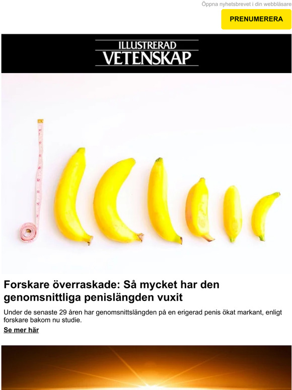 Forskare överraskade: Så mycket har den genomsnittliga penislängden vuxit