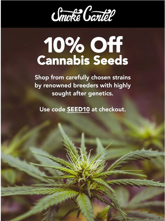 SALE ➕ get 10% off cannabis seeds
