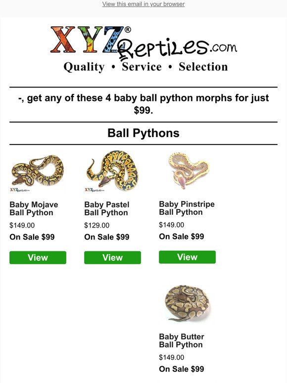 🐍 $99 Popular Single Gene Ball Python Morphs