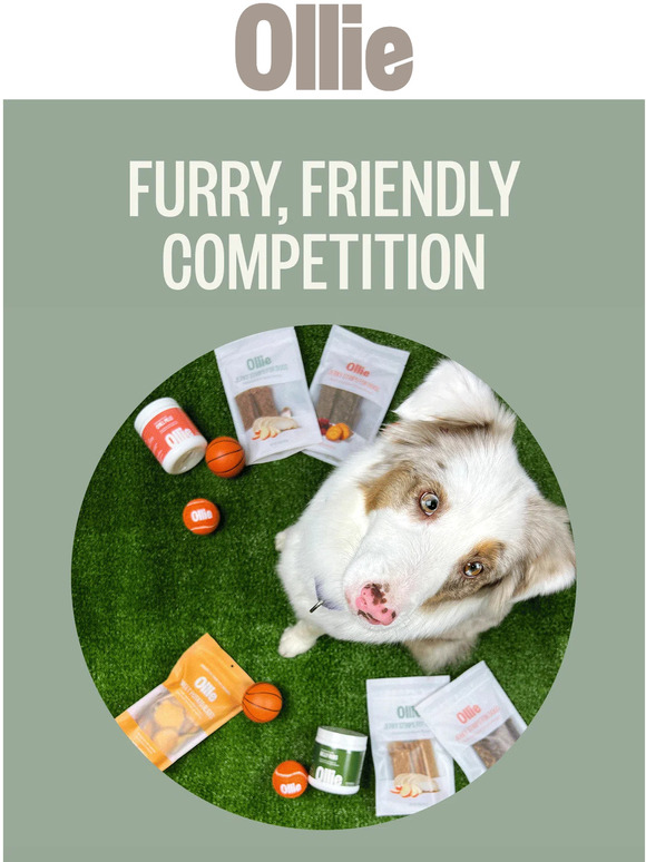 March Wagness is back! Is your pup our next Top Dog?