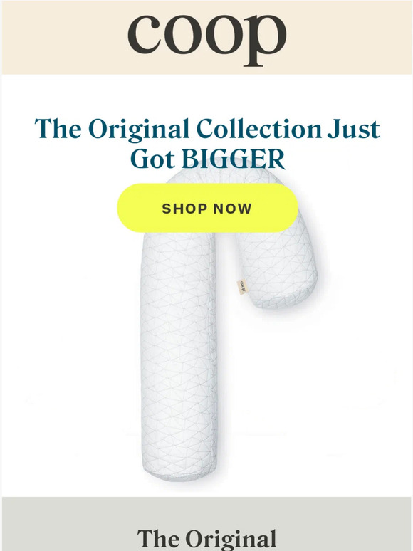 NEW pillow shapes are here